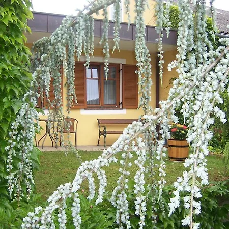 Gästehaus Riegler Ragnitz