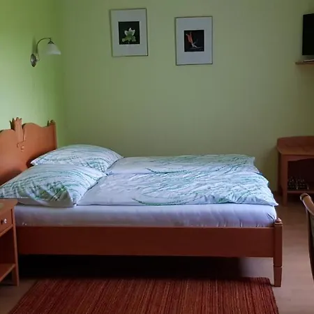 Konukevi Gastehaus Riegler 4*
