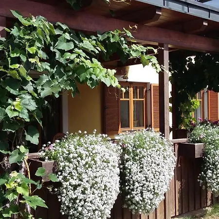 Gästehaus Riegler