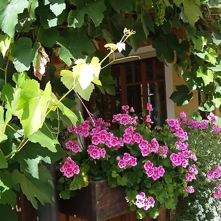 Gastehaus Riegler Ragnitz
